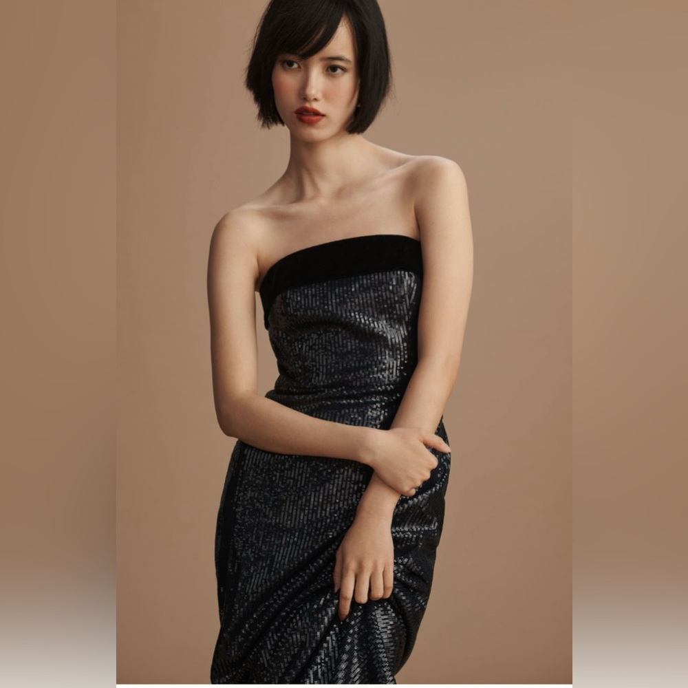 ML Monique Lhuillier Reese Sequins Long Dress in Midnight, Worn Once